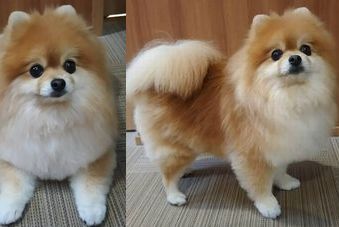 �r�уt�F���g�@�{���ʐ^