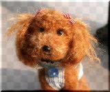 ���w�A��A�����񂾗r�т��тł��B