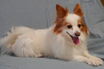 �r�уt�F���g�@�{���ʐ^