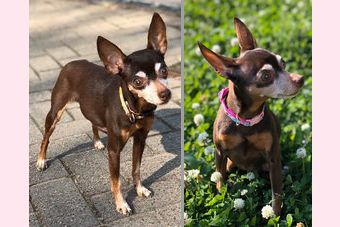 �r�уt�F���g�@�{���ʐ^