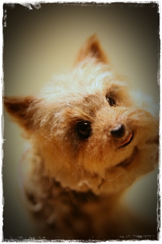 �r�уt�F���g