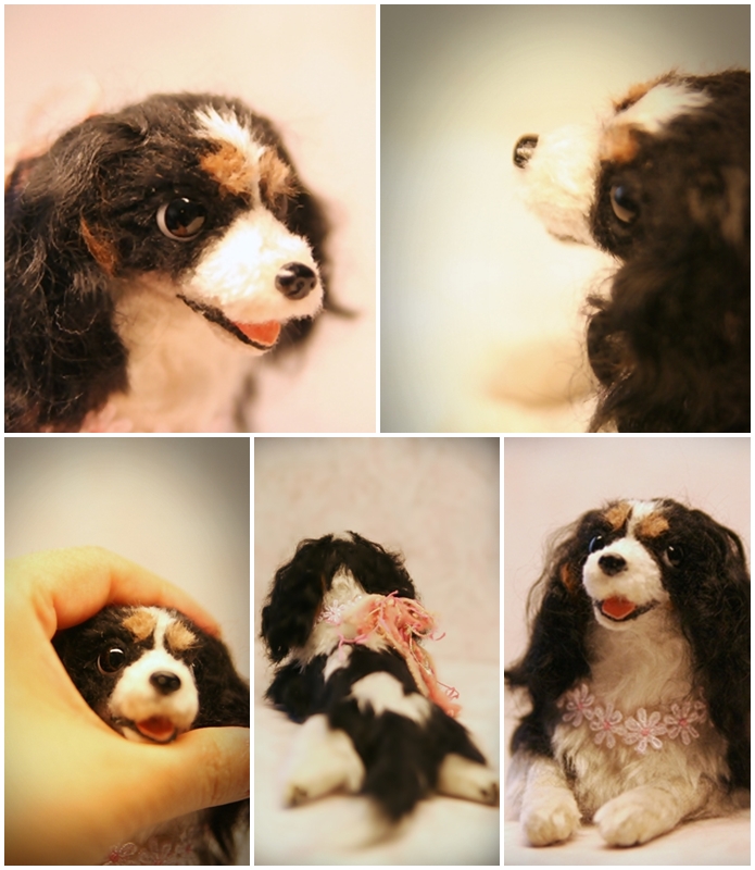 �r�уt�F���g