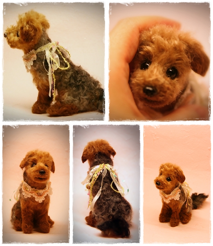 �r�уt�F���g