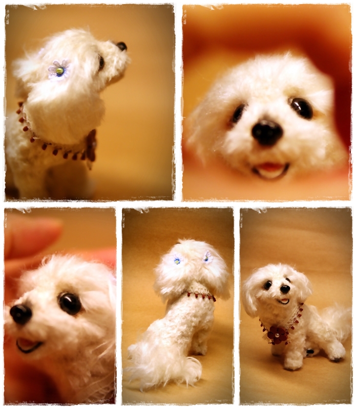 �r�уt�F���g