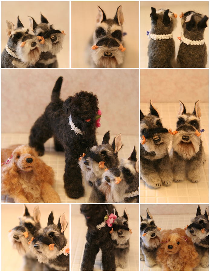 �r�уt�F���g�@��