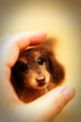 �r�уt�F���g�@�~�j�`���A�_�b�N�X