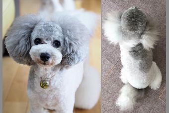 �r�уt�F���g