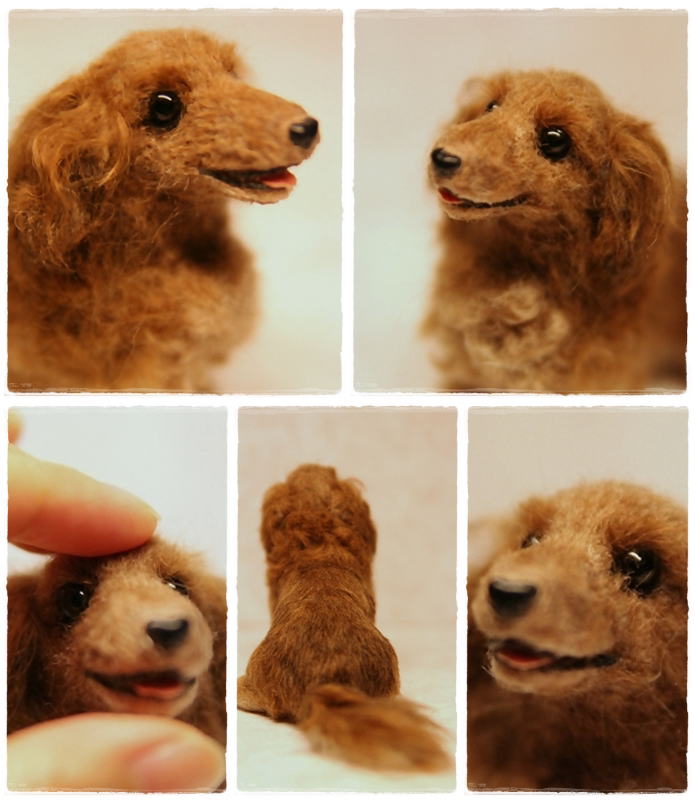 �r�уt�F���g�@���@�~�j�`���A�_�b�N�X