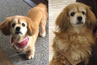 �r�уt�F���g�@�{���ʐ^