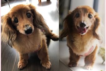 �r�уt�F���g�@�{���ʐ^