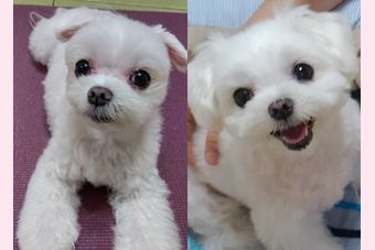 �r�уt�F���g�@�{���ʐ^