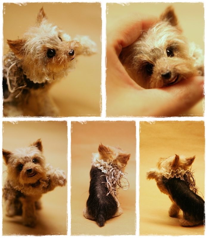 �r�уt�F���g