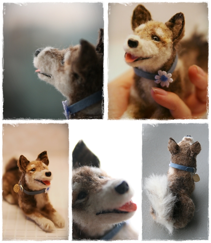 �r�уt�F���g�@��