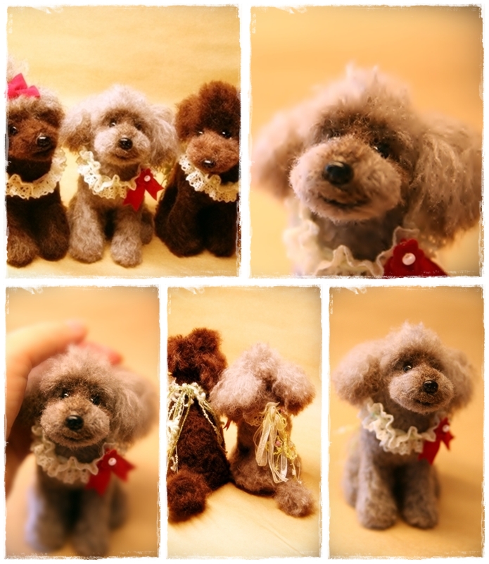 �r�уt�F���g