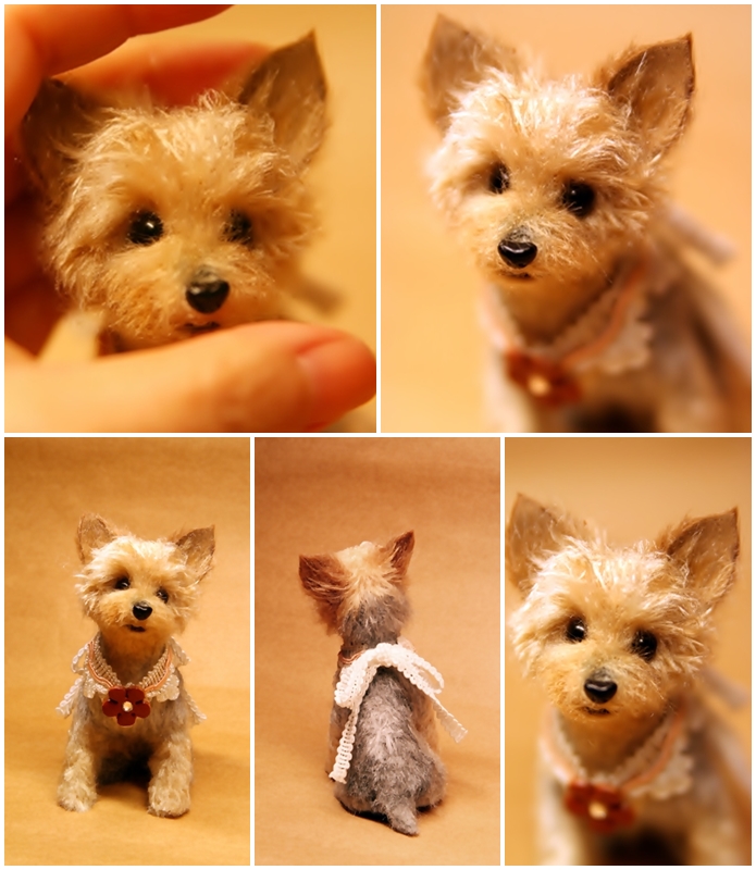 �r�уt�F���g