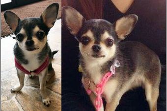 �r�уt�F���g�@�`����