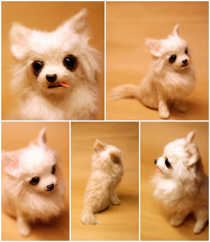 �r�уt�F���g