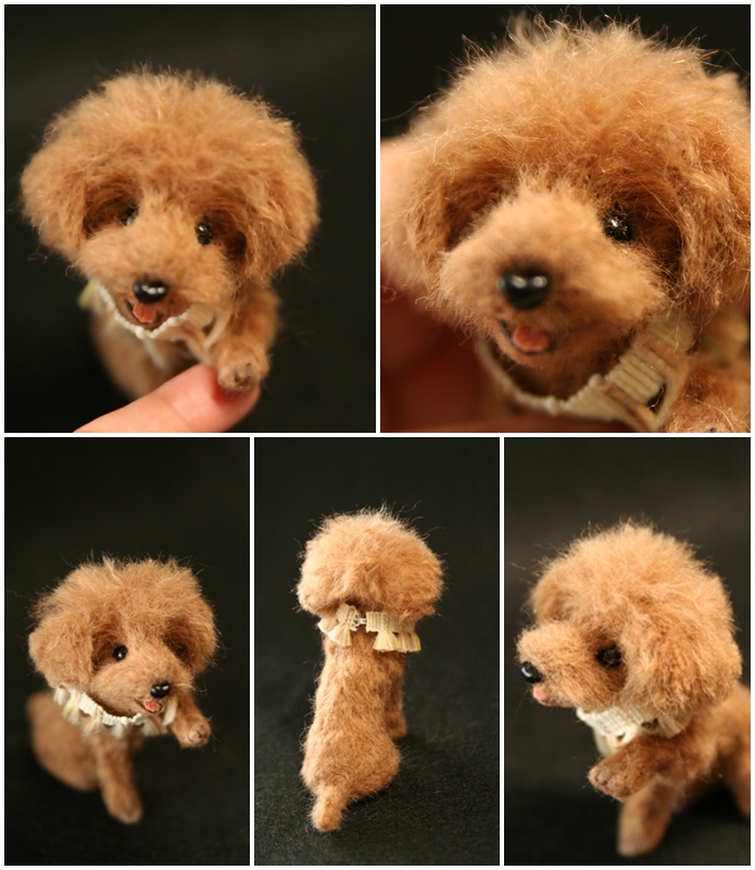 �r�уt�F���g