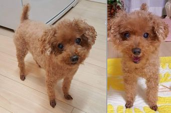 �r�уt�F���g�@�{���ʐ^