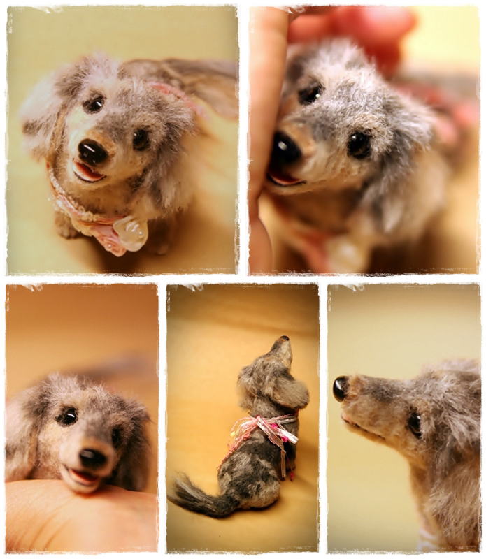 �r�уt�F���g