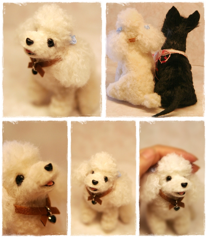 �r�уt�F���g