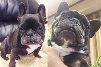 �r�уt�F���g�@�{���ʐ^