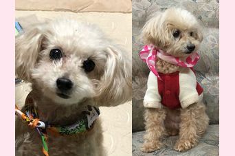 �r�уt�F���g�@�{���ʐ^