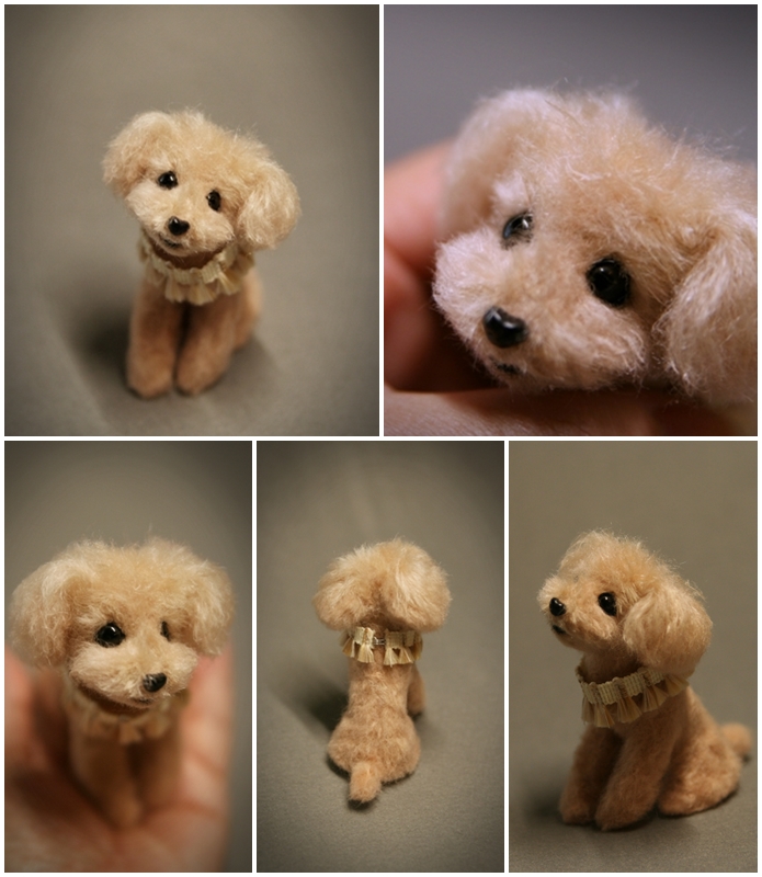 �r�уt�F���g�@�g�C�v�[�h��