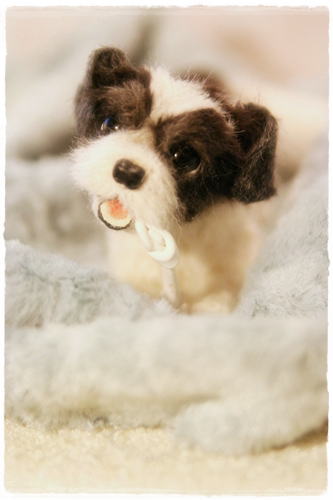 �r�уt�F���g�@���@�V�[�Y�[