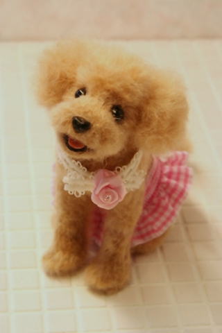 �r�уt�F���g�@���@�g�C�v�[�h��