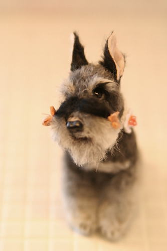 �r�уt�F���g�@��