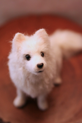 �r�уt�F���g�@���@���{�X�s�b�c