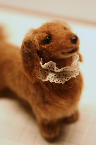 �r�уt�F���g�@���@�_�b�N�X