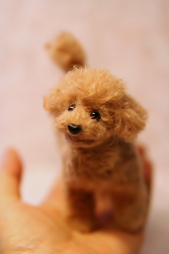 �r�уt�F���g�@�g�C�v�[�h��