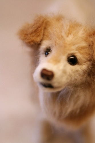 �r�уt�F���g�@��