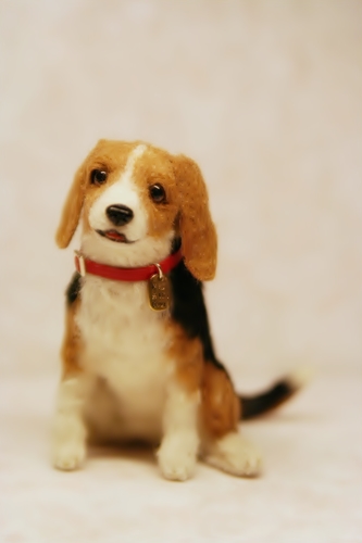 �r�уt�F���g�@��