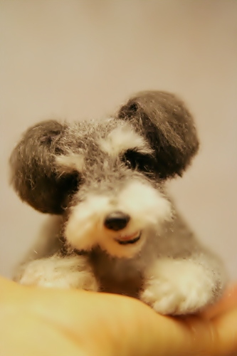 �r�уt�F���g�@��