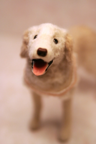 �r�уt�F���g�@��