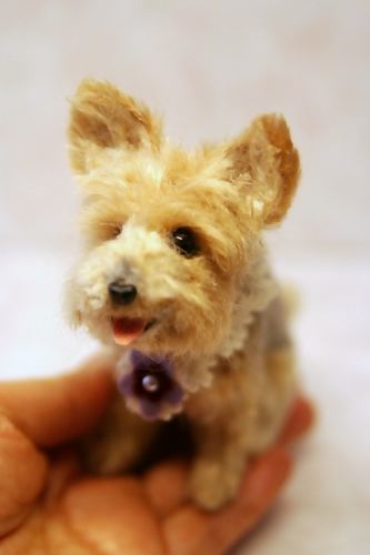 �r�уt�F���g