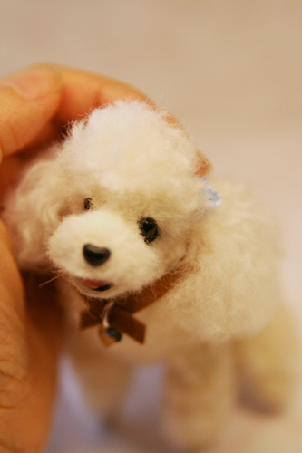 �r�уt�F���g