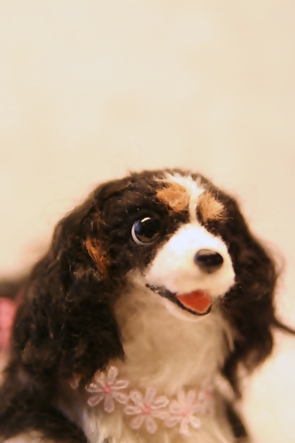 �r�уt�F���g