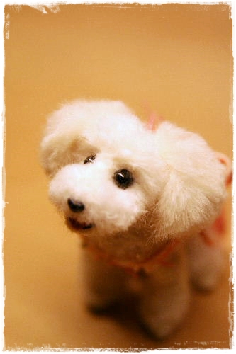 �r�уt�F���g