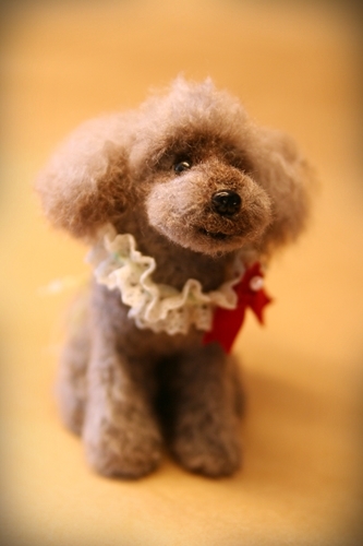 �r�уt�F���g