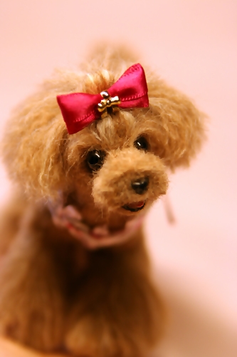 Ĳ�߰��ف@�r�уt�F���g