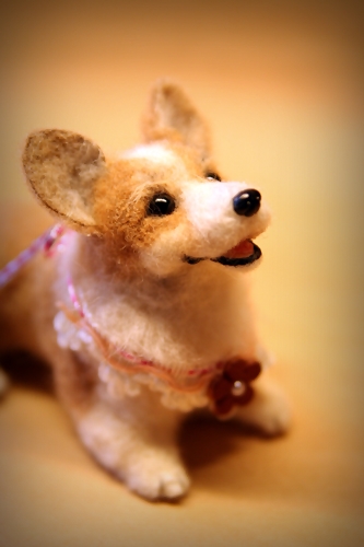 �r�уt�F���g