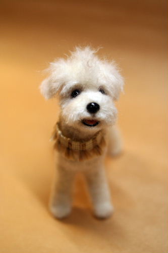 �r�уt�F���g�@���@�~�j�V���i