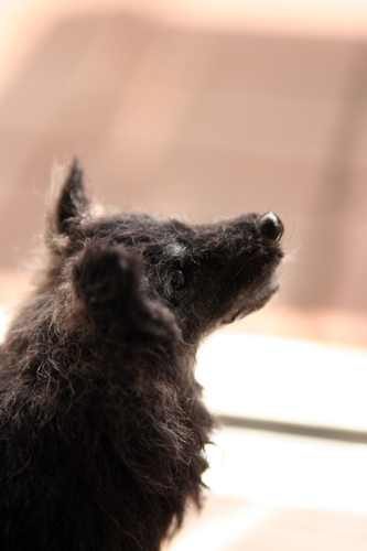 �r�уt�F���g�@��