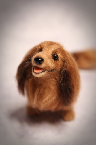 �r�уt�F���g