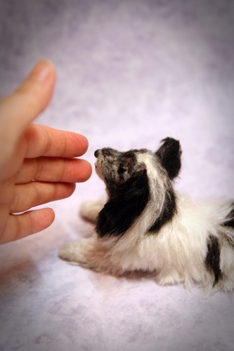 �r�уt�F���g