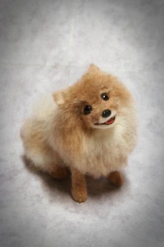 �r�уt�F���g